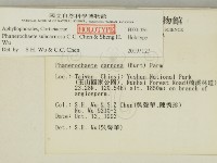 登錄號:F0001326藏品圖，第2張