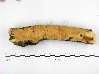 登錄號:F0001326藏品圖，第1張