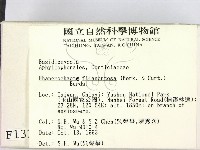 登錄號:F0001327藏品圖，第2張