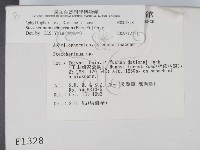 登錄號:F0001328藏品圖，第2張