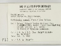 冇骨消絲齒菌藏品圖，第2張