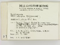 登錄號:F0001330藏品圖，第2張