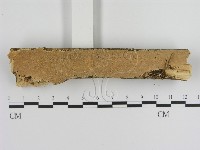 登錄號:F0001330藏品圖，第1張