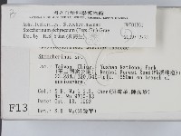 登錄號:F0001331藏品圖，第2張