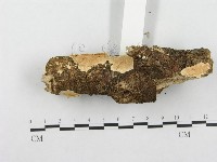 登錄號:F0001331藏品圖，第1張