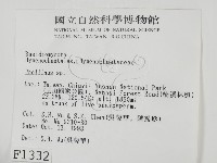 木層孔菌屬藏品圖，第2張