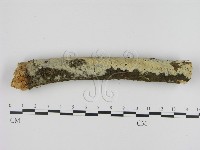 登錄號:F0001333藏品圖，第1張