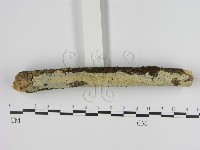 登錄號:F0001333藏品圖，第3張