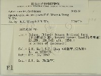 登錄號:F0001334藏品圖，第2張