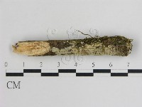 登錄號:F0001334藏品圖，第1張