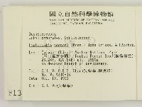 登錄號:F0001336藏品圖，第2張