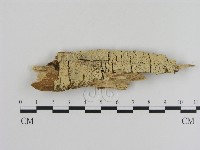 登錄號:F0001336藏品圖，第1張