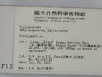 館號:F0001337藏品圖，第2張
