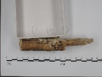 館號:F0001337藏品圖，第3張