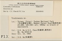 館號:F0001337藏品圖，第4張