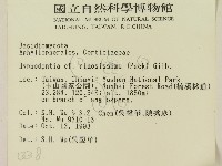 登錄號:F0001338藏品圖，第2張