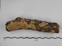 登錄號:F0001339藏品圖，第1張