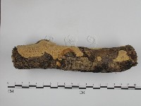 登錄號:F0001339藏品圖，第3張