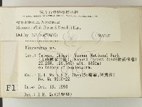 相鄰小孔菌藏品圖，第2張