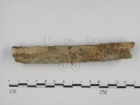 登錄號:F0001341藏品圖，第1張