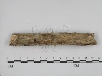 登錄號:F0001341藏品圖，第3張