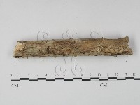登錄號:F0001341藏品圖，第4張