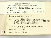 登錄號:F0001342藏品圖，第2張