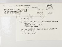 登錄號:F0001343藏品圖，第2張