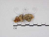 登錄號:F0001344藏品圖，第1張