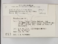 登錄號:F0001345藏品圖，第2張
