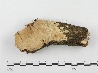 登錄號:F0001345藏品圖，第3張