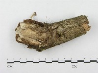 登錄號:F0001345藏品圖，第1張