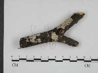 登錄號:F0001346藏品圖，第1張
