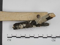 登錄號:F0001346藏品圖，第3張