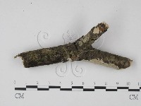 登錄號:F0001346藏品圖，第4張