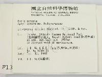 登錄號:F0001347藏品圖，第2張