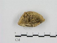 登錄號:F0001347藏品圖，第1張