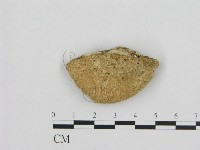 登錄號:F0001347藏品圖，第3張