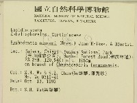 登錄號:F0001349藏品圖，第2張