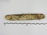 登錄號:F0001349藏品圖，第1張