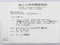登錄號:F0001351藏品圖，第2張