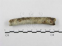 登錄號:F0001351藏品圖，第1張
