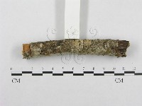 登錄號:F0001351藏品圖，第3張