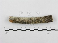 登錄號:F0001351藏品圖，第4張