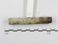 登錄號:F0001351藏品圖，第5張