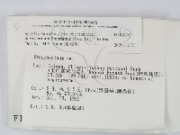登錄號:F0001352藏品圖，第2張