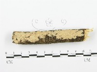登錄號:F0001352藏品圖，第1張