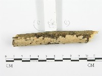 登錄號:F0001352藏品圖，第3張