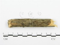 登錄號:F0001352藏品圖，第4張