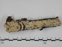 登錄號:F0001353藏品圖，第1張